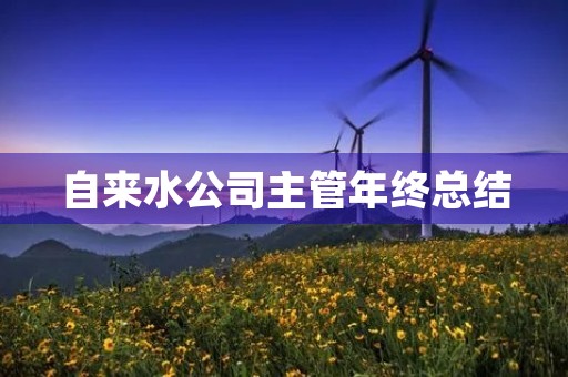 自来水公司主管年终总结