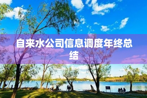 自来水公司信息调度年终总结