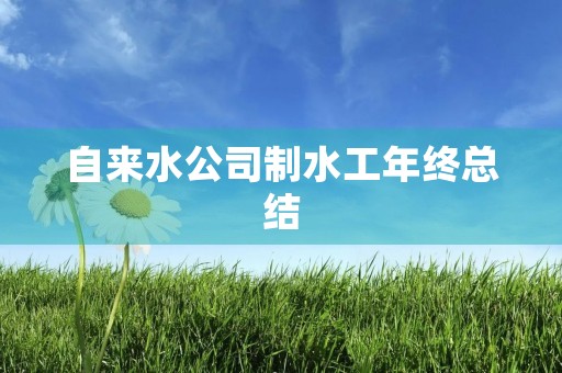 自来水公司制水工年终总结