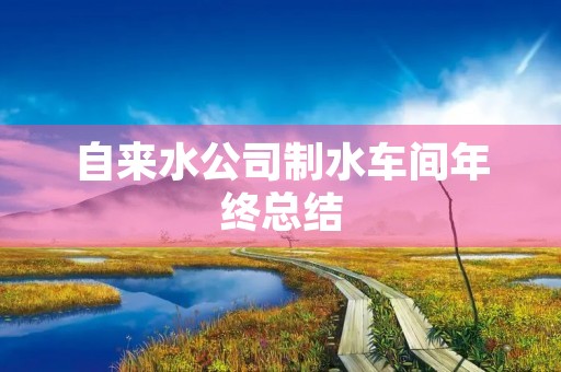 自来水公司制水车间年终总结