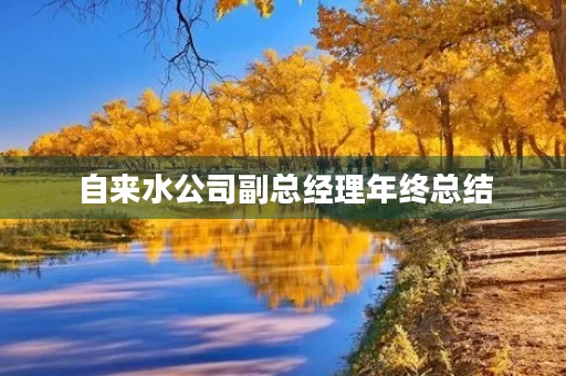自来水公司副总经理年终总结