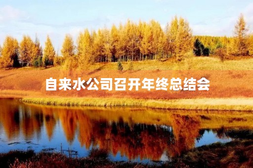 自来水公司召开年终总结会