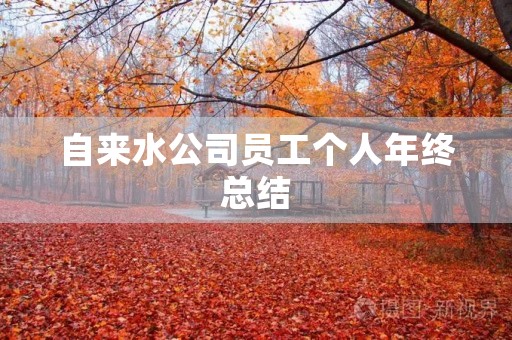 自来水公司员工个人年终总结 自来水公司员工个人年终总结