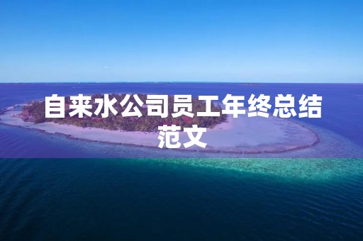 自来水公司员工年终总结范文