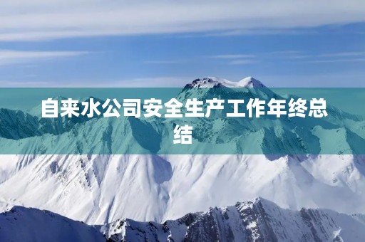 自来水公司安全生产工作年终总结