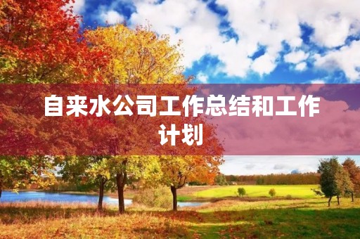 自来水公司工作总结和工作计划