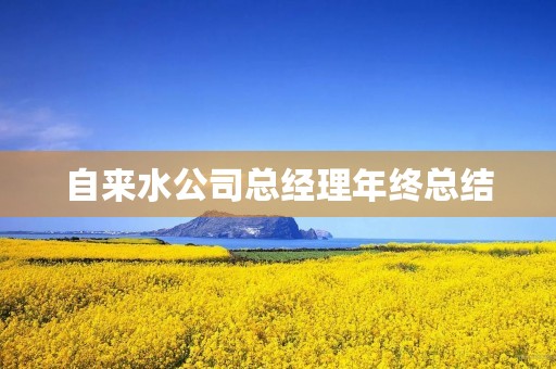 自来水公司总经理年终总结