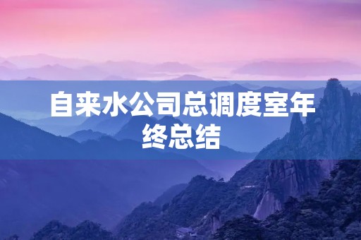 自来水公司总调度室年终总结