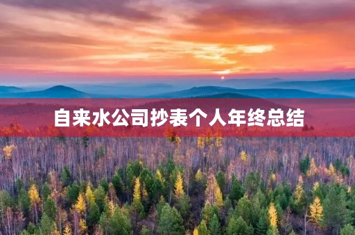 自来水公司抄表个人年终总结