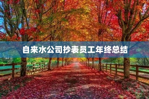 自来水公司抄表员工年终总结