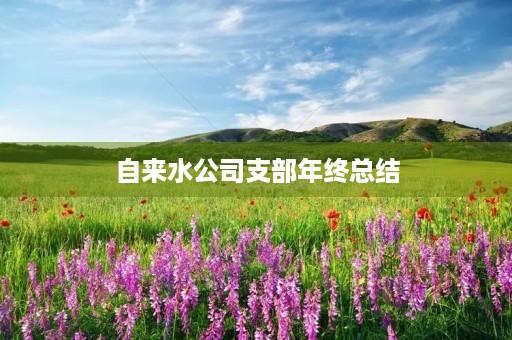 自来水公司支部年终总结