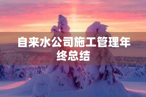 自来水公司施工管理年终总结