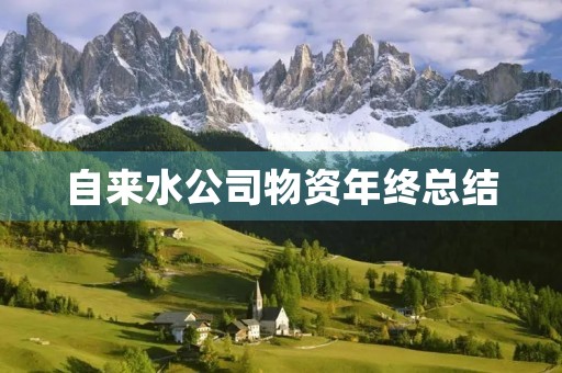 自来水公司物资年终总结