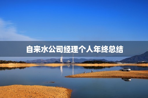 自来水公司经理个人年终总结