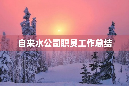 自来水公司职员工作总结