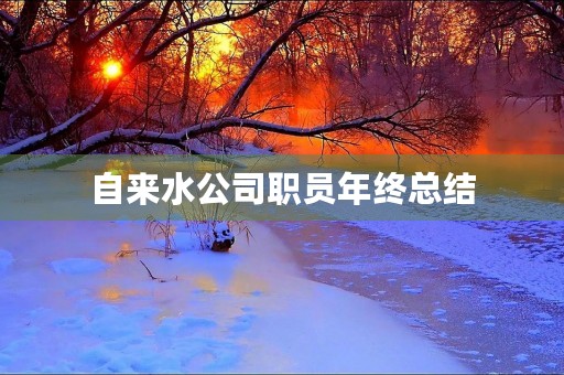 自来水公司职员年终总结