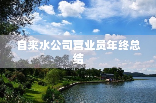 自来水公司营业员年终总结