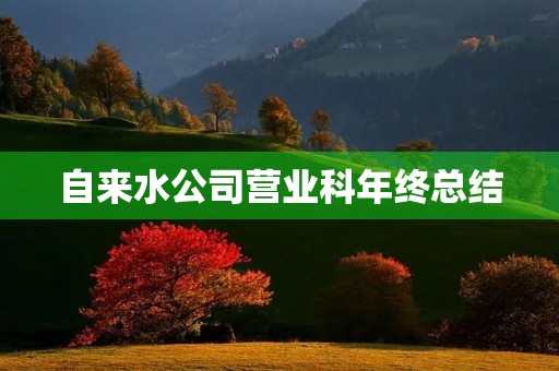 自来水公司营业科年终总结