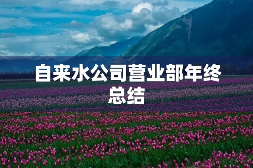 自来水公司营业部年终总结