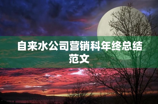 自来水公司营销科年终总结范文