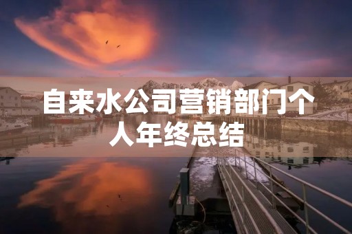 自来水公司营销部门个人年终总结