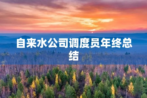 自来水公司调度员年终总结