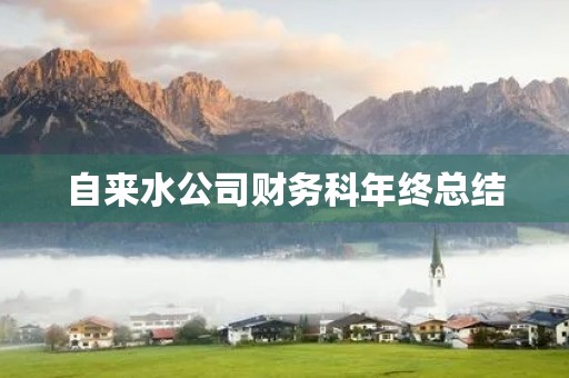 自来水公司财务科年终总结