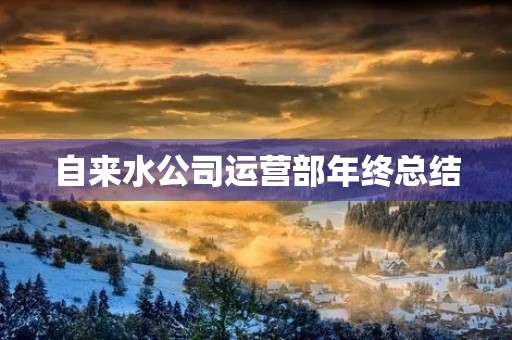 自来水公司运营部年终总结