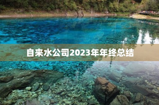 自来水公司2023年年终总结