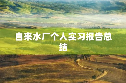 自来水厂个人实习报告总结