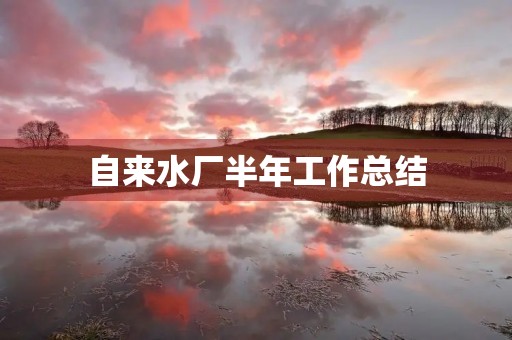 自来水厂半年工作总结 自来水厂半年工作总结