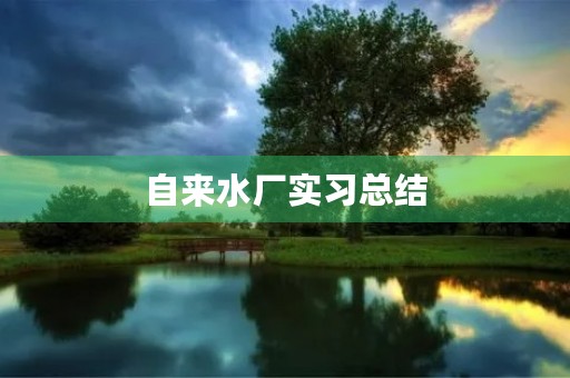 自来水厂实习总结