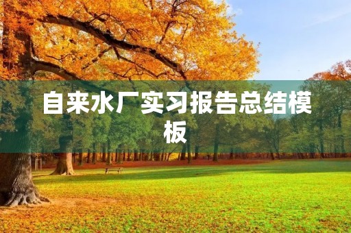 自来水厂实习报告总结模板