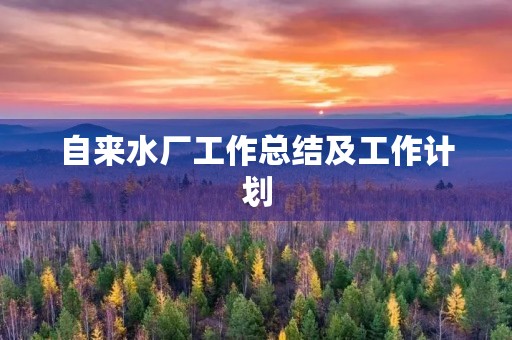 自来水厂工作总结及工作计划