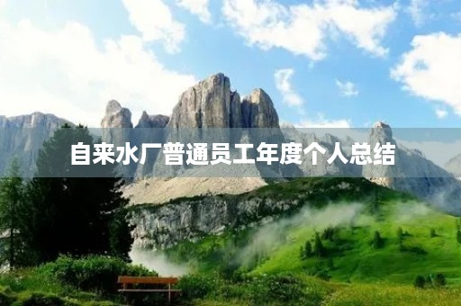 自来水厂普通员工年度个人总结