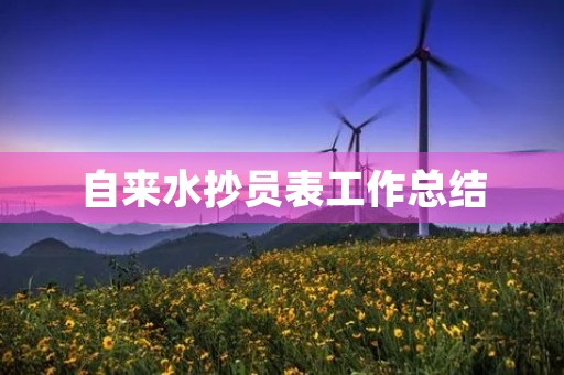 自来水抄员表工作总结 自来水抄员表工作总结