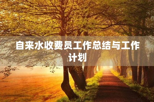 自来水收费员工作总结与工作计划