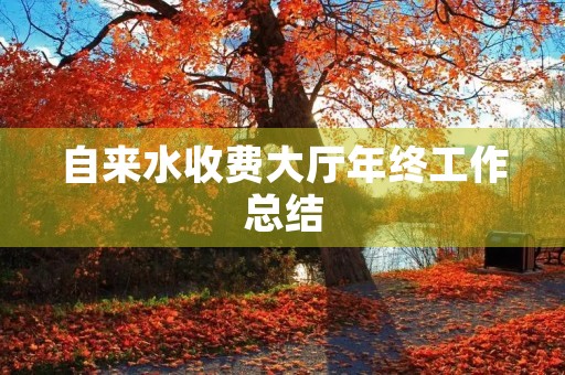 自来水收费大厅年终工作总结