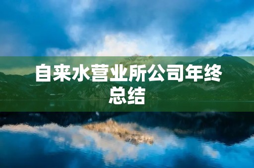 自来水营业所公司年终总结