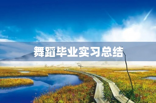 舞蹈毕业实习总结