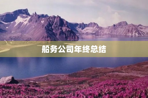 船务公司年终总结