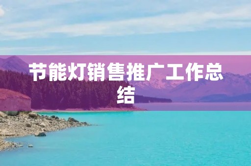 节能灯销售推广工作总结