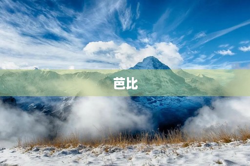 芭比,我的最爱 芭比,我的最爱
