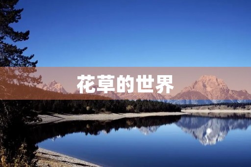花草的世界