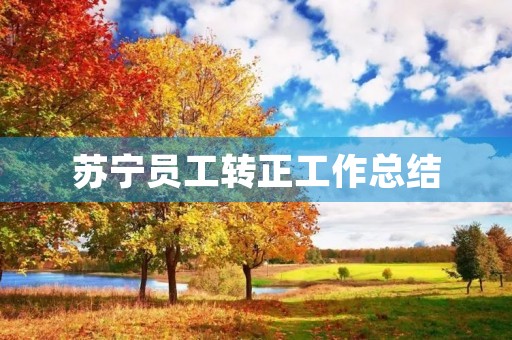 苏宁员工转正工作总结