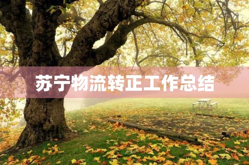 苏宁物流转正工作总结