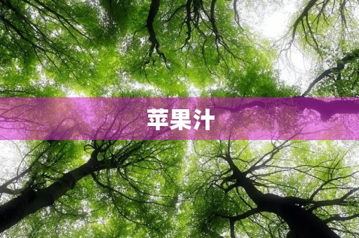 苹果汁 苹果汁