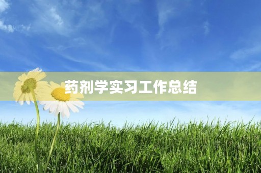 药剂学实习工作总结