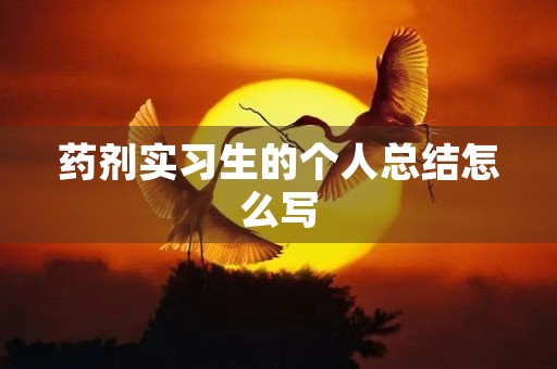 药剂实习生的个人总结怎么写