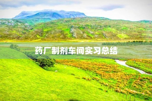 药厂制剂车间实习总结